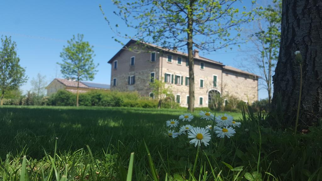 Agriturismo Il Brugnolo Scandiano Εξωτερικό φωτογραφία