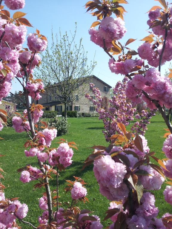 Agriturismo Il Brugnolo Scandiano Εξωτερικό φωτογραφία
